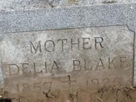 Delia Lesord Blake