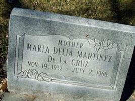 Delia Maria Martinez De La Cruz
