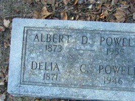 Delia Powell Delia Powell