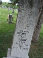 Delina Bixby Brink