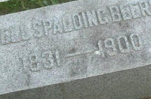 Dell Spalding Beers