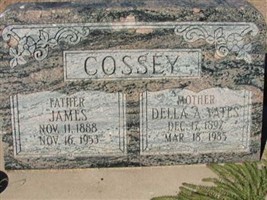 Della Ann Yates Cossey