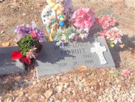 Della Leona Parrott Della Leona Parrott