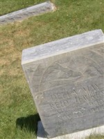 Della May Reid Jewkes Della May Reid Jewkes