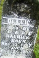 Dellie (Dollie?) Halmick