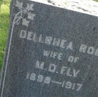 Dellrhea Roof Fly Dellrhea Roof Fly