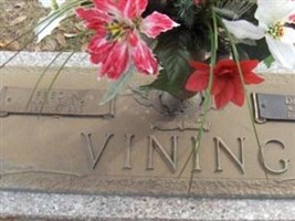Delma B. Vining