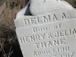 Delma Thane