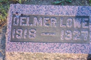 Delmer Lowe