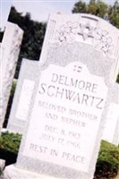 Delmore Schwartz Delmore Schwartz