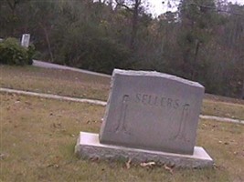 Delonie Ann "Dellie" Shipp Sellers