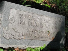 Deloris Faye Strunk Deloris Faye Strunk