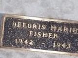 Deloris Marie Fisher Deloris Marie Fisher