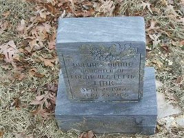 Deloris Marie Link