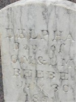 Delpha Beebe Delpha Beebe