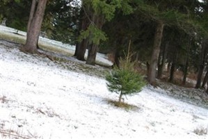 Delphi Cemetery