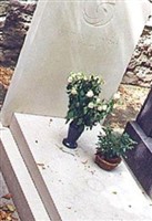 Delphine Seyrig Delphine Seyrig