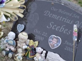Demetrius Nicholas Scebes Demetrius Nicholas Scebes