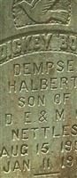 Dempsy Halbert "Dickey Boy" Nettles Dempsy Halbert "Dickey Boy" Nettles
