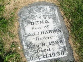 Dena Harris (1887815.jpg)