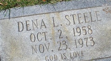 Dena L Steele Dena L Steele
