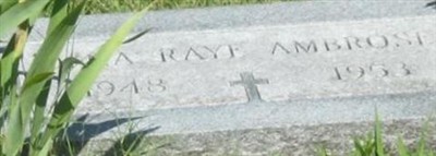 Dena Raye Ambrose Dena Raye Ambrose