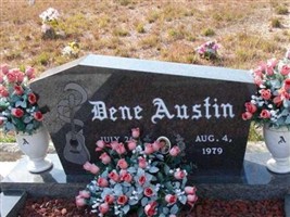 Dene Austin Dene Austin