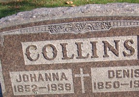 Denis Collins