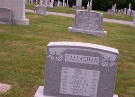 Denis J Callaghan Denis J Callaghan