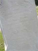 Denis J Moroney