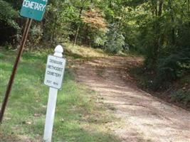 Denmark Southern Methodist Church Cemetery