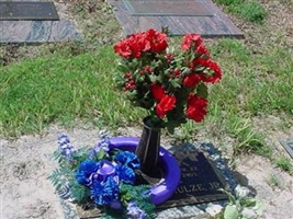 Dennis Ray Schulze, Jr