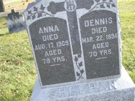 Dennis Sheehan