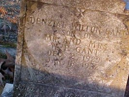 Denzial Wilton Gant