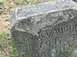 Denzil Vaughn