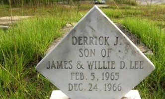 Derrick J. Lee Derrick J. Lee