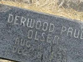 Derwood Paul Olsen