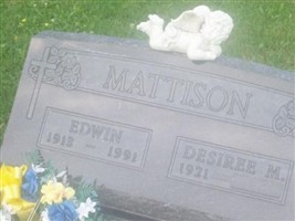 Desiree M Mattison