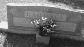 Dessie Coleman Hammock Dessie Coleman Hammock
