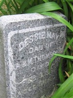 Dessie May Thomson Dessie May Thomson