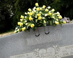 Destie A. Benefield