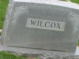 Devillo Wilcox Devillo Wilcox