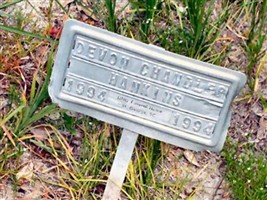 Devon Chandler Hankins (1893455.jpg)