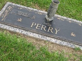 Devon J Perry