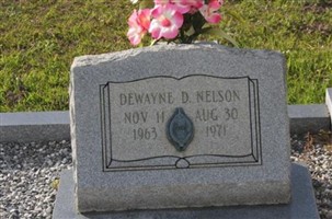 Dewayne D. Nelson