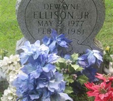 Dewayne Ellison, Jr
