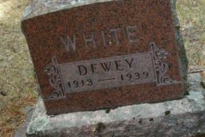 Dewey W. White (2013865.jpg)