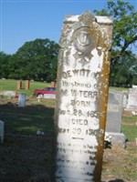 DeWitt Clinton Terry