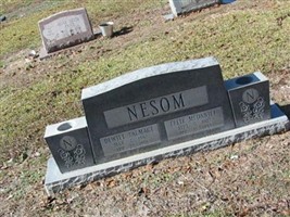 DeWitt Talmage Nesom DeWitt Talmage Nesom