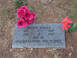 Dexter Sconce